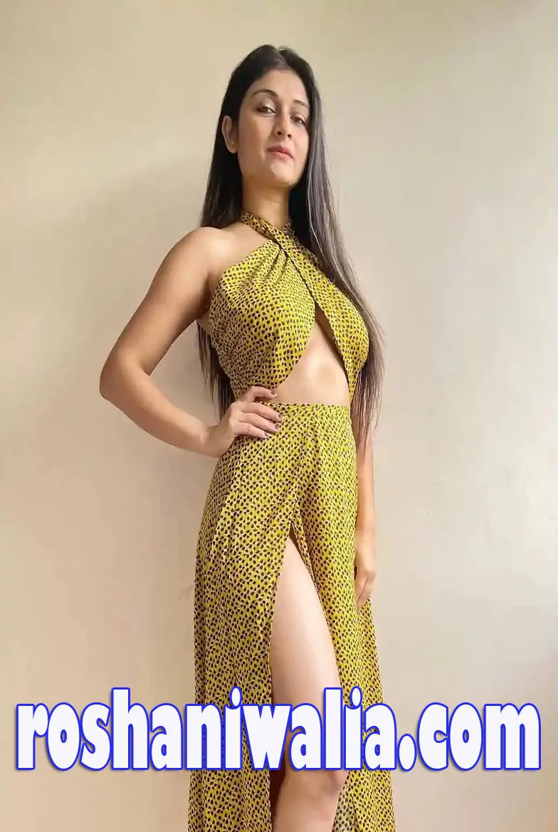 udaipur Independent Escorts