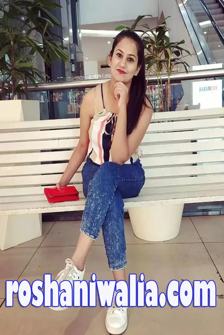 udaipur Escorts Services